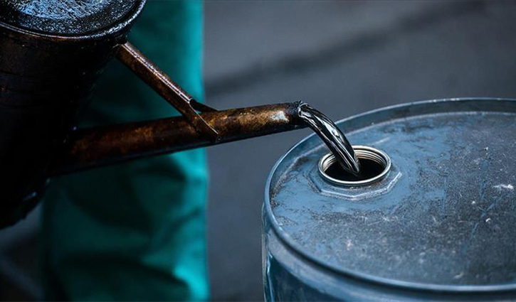 Govt to import 58 lakh metric tonnes of fuel oil