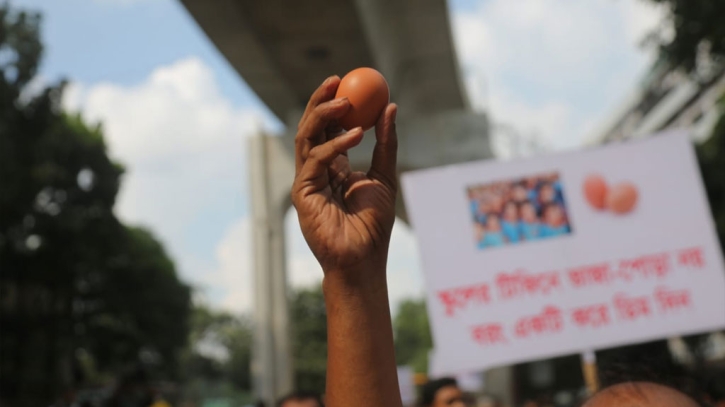 Nation observes World Egg Day with a call to eat eggs every day, increase immunity Nation observes World Egg Day with a call to eat eggs every day, increase immunity