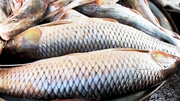 Bangladeshis take 62.58 grams of fish a day: Minister Bangladeshis take 62.58 grams of fish a day: Minister