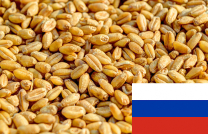 Govt to buy 1 lakh tonnes of wheat from Russia Govt to buy 1 lakh tonnes of wheat from Russia