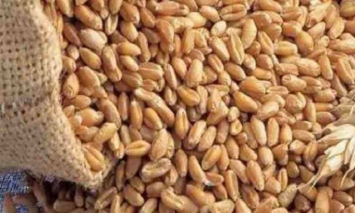Govt mulls wheat import from Russia or Ukraine: Official