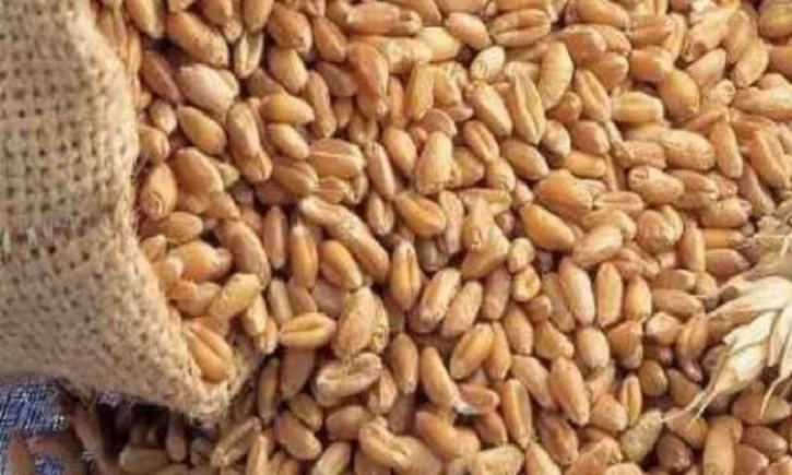 Govt mulls wheat import from Russia or Ukraine: Official Govt mulls wheat import from Russia or Ukraine: Official