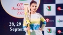 সিসিএলের মারামারির ভিডিও প্রকাশ করলেন রাজ রিপা
