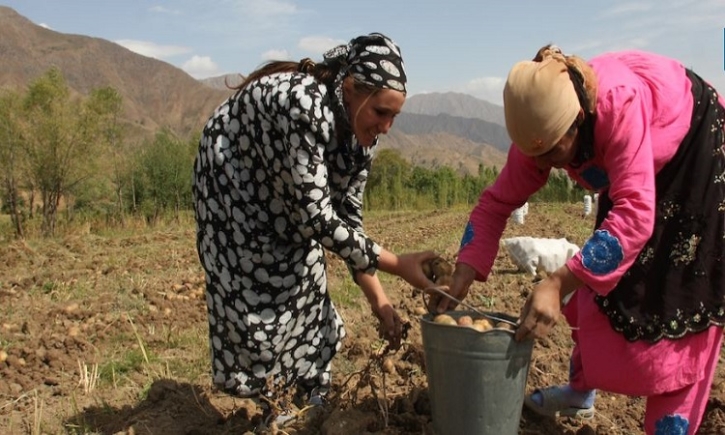 Regional cooperation vital to addressing climate change in Central, West Asia: ADB