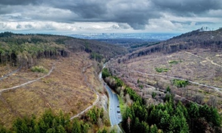 EU at the crossroads of fight for environment amid growing opposition to law to restore nature EU at the crossroads of fight for environment amid growing opposition to law to restore nature