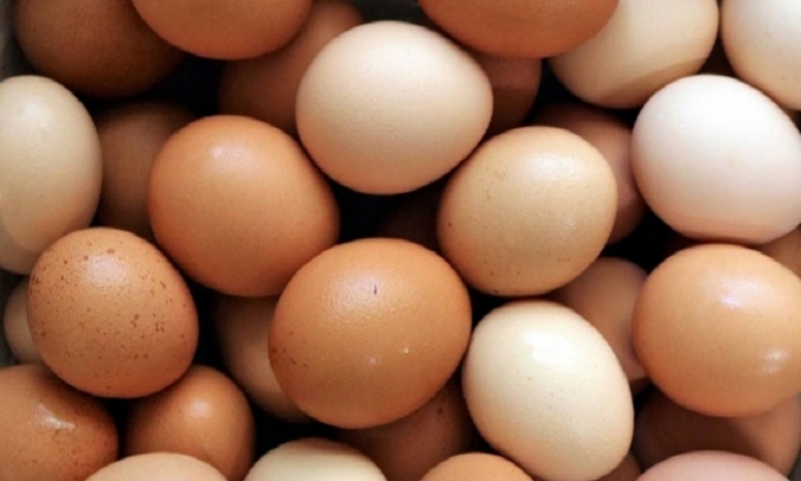 Govt allows 6 more businesses to import eggs Govt allows 6 more businesses to import eggs