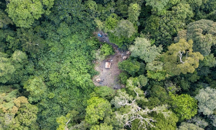 SDG Summit: FAO announces launch of a CPF call to action for forests towards 2030 SDG Summit: FAO announces launch of a CPF call to action for forests towards 2030