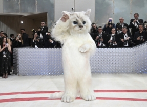 Inside the Met Gala: A furry feline star, a tardy Cinderella