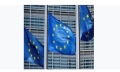 EU businesses ’questioning their position’ in China: Trade commissioner