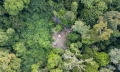 SDG Summit: FAO announces launch of a CPF call to action for forests towards 2030