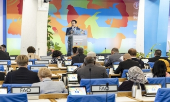 FAO hosts first-ever global conference on sustainable livestock transformation