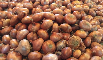 Govt to import onion unless price comes down soon: Tipu Munshi