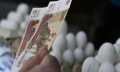 Russian economy to grow this year: European development bank