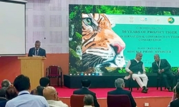Transboundary Collaboration with India needed for Bengal Tiger conservation: Minister