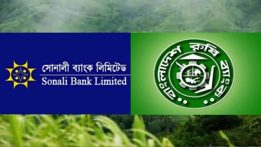 সন্ত্রাসী হামলার আশঙ্কা: বান্দরবানের ৩ উপজেলায় সব ধরনের ব্যাংকিং কার্যক্রম বন্ধ