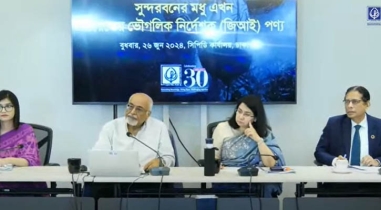 ‘সংশ্লিষ্টদের উদাসীনতায় সুন্দরবনের মধুর জিআই সনদ হাতিয়েছে ভারত’