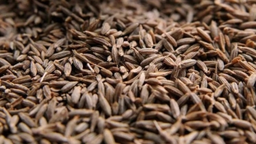 আখাউড়া দিয়ে এলো ৭ টন ভারতীয় জিরা