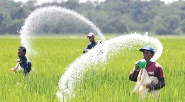 চার দেশ থেকে ৯২৭ কোটি ৭১ লাখ টাকার সার কিনবে সরকার