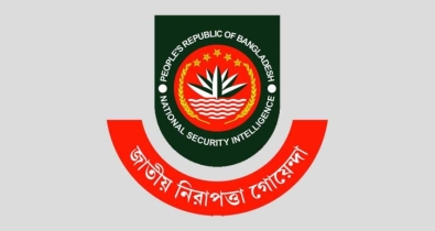 এনএসআইয়ের পরিচালক হলেন সালেহ মোহাম্মদ তানভীর