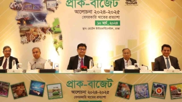 আগামী বাজেট বেসরকারি খাতের উপযোগী হবে: অর্থমন্ত্রী