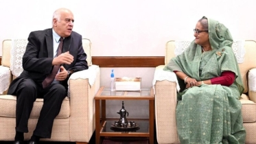 গাজায় হত্যা বন্ধে কোনো পদক্ষেপ না নেওয়া দুঃখজনক: প্রধানমন্ত্রী