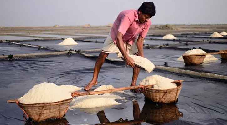 দেশে লবণ উৎপাদনে রেকর্ড