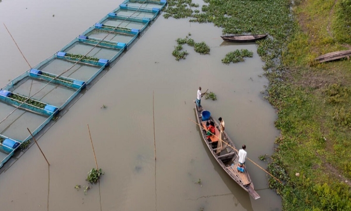 Global fisheries and aquaculture production reaches a new record high: FAO Global fisheries and aquaculture production reaches a new record high: FAO