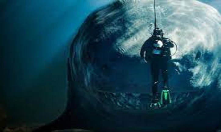 ’The Meg’ shark was actually quite thin, scientists say ’The Meg’ shark was actually quite thin, scientists say