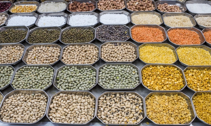 World Pulses Day 2024: Shining spotlight on vital role of pulses in promoting soil health