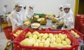 Vietnam’s fruit, vegetable export revenue exceeds 1bn USD in Q1