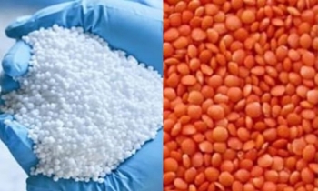 Govt to procure 1.70 lakh MTs fertilizer, 10,000 MTs lentil