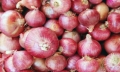 India allows export of onion to Bangladesh, other 5 countries