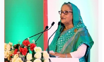 PM seeks private initiatives for livestock, fisheries sector’s development