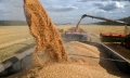 Russia’s grain harvest may reach 130.9mn tons in 2024