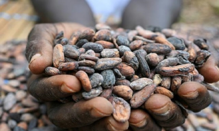 Who profits from the soaring price of cocoa? Who profits from the soaring price of cocoa?