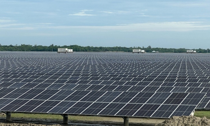 Solar investment outstrips all other power forms: IEA Solar investment outstrips all other power forms: IEA