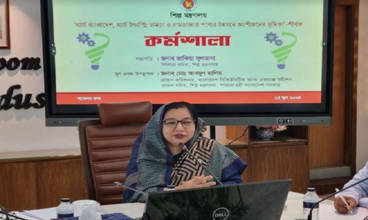 Time-bound action plans being formulated for development of leather industry