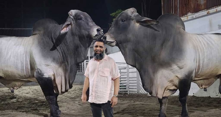 সাদিক অ্যাগ্রোর মালিকসহ ৭ জনের বিরুদ্ধে মামলা সাদিক অ্যাগ্রোর মালিকসহ ৭ জনের বিরুদ্ধে মামলা