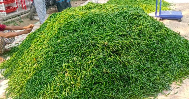 হিলি স্থলবন্দরে রেকর্ড পরিমাণে র্কাঁচামরিচ আমদানি হিলি স্থলবন্দরে রেকর্ড পরিমাণে র্কাঁচামরিচ আমদানি